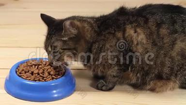 禁忌猫吃猫粮