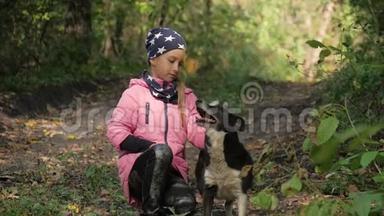 美丽的小女孩和一只狗在美丽的秋天公园里。 天气晴朗。 快关门。 户外。