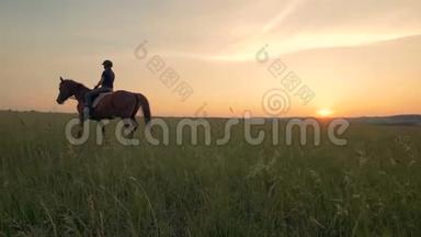 女运动员<strong>骑着马</strong>在田里，后景..
