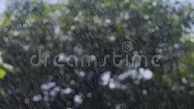 夏天的雨滴落在树上，雨滴从天空落下，雨滴穿过阳光