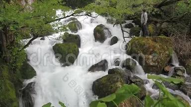 这个人在潮湿的热带森林里欣赏瀑布。 暴风骤雨的河流。 干净的水上升，泡沫