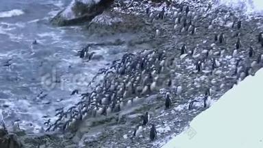 冬季傍晚到达南极岛海岸的一大群<strong>企鹅</strong>Gentu