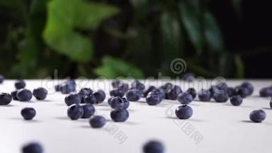 美味的蓝莓落在白色的桌子上。 电<strong>影视</strong>图与绿色植物的<strong>背景</strong>。