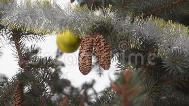 圣诞树上装饰着玩具和金锥，锥重在杉树的树枝上。 特写镜头。