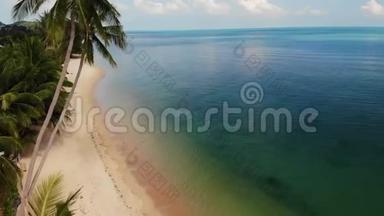 在蓝海附近的海滩上。 在度假胜地干净的蓝海的沙质<strong>海岸</strong>上生长的<strong>热带</strong>椰子棕榈的无人视野