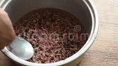 用钢包在电饭锅中发芽的紫色糙米