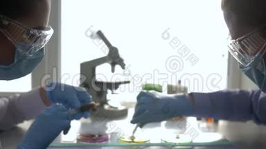 生物分析，实验室技术人员对培养皿进行化学实验，并在诊所<strong>取样</strong>