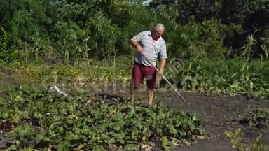 这位老人正在花园里的村庄里<strong>用锄头</strong>帮除草，然后离开