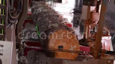 锯木厂上的锯条带锯子，有激光水平的电锯工作台，在木束上锯树干的过程