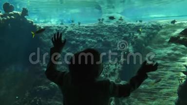 鱼的生命，在水下世界博物馆里的孩子，在纯净的蓝色水中有许多鱼