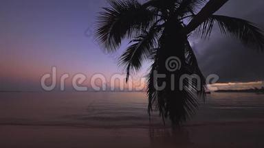 异国情调的海滩。 椰子棕榈树对抗日出热带天空与云。 热带的暑假。