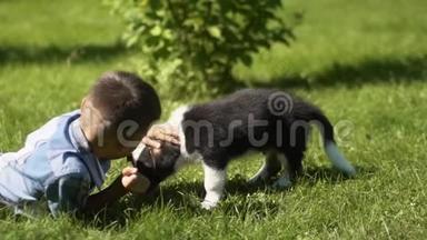这个男孩正在草地上的公园里和一只小狗玩，白天天气晴朗，心情很好。 慢慢慢慢
