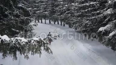 雄运动员在雪冬松林中奔跑。 在户外慢跑。 动机