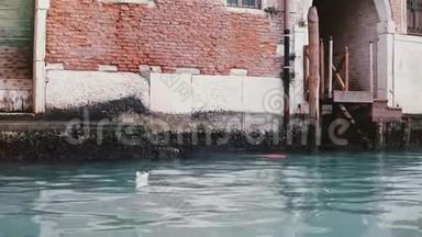 在意大利威尼斯运河上美丽的<strong>大气红色</strong>建<strong>筑</strong>上，相机放大，上面有美丽的蓝色水和海鸥。