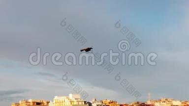 一只乌鸦在蓝天飞翔的慢动作视频