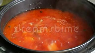 蔬菜番茄汤或罗宋汤锅。 素食