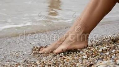 美丽的女腿在海滩上的<strong>小贝壳</strong>