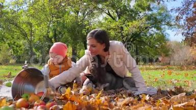 一个家庭周末，妈妈带着小孩和哈士奇狗坐在靠近水桶的地方，叶子旁边的秋天公园里放着苹果