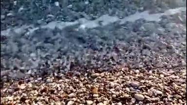 海在沙滩上洗卵石，滚石<strong>声</strong>，音响.. 一片石滩的特写镜头。 小浪<strong>撞击</strong>卵石