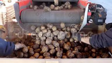 马铃薯是从特殊的机械化传送带装载到木<strong>箱</strong>包装。 土豆等着去