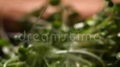 厨房里一堆新鲜的绿色草本植物落在表面。 库存录像。 做菜用的绿菜