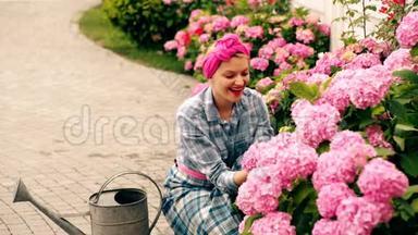 一个女人在乡下的房子里关心粉红色的花。 爱护花朵的观念.. 令人难以置信的美丽的粉红色花蕾