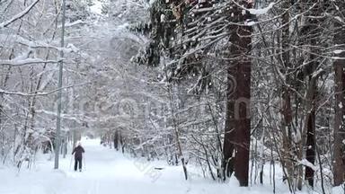 冬季公园里的滑雪者。