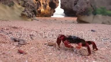 一只红<strong>螃蟹</strong>，在伊朗霍尔木兹岛日落时带着岩石在<strong>沙滩</strong>上移动