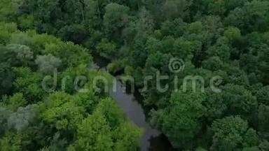 鸟瞰美丽的风景-河流在绿色的落叶森林中流动。 以不同的速度拍摄-