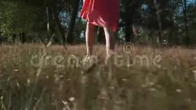 一位年轻的美女走在树林中的黄草上