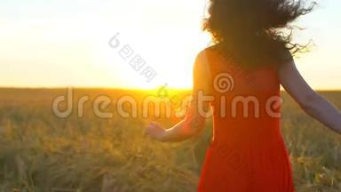 快乐的年轻西班牙裔美女在日落的夏天在麦田上<strong>奔跑</strong>。 <strong>自由</strong>健康、幸福旅游