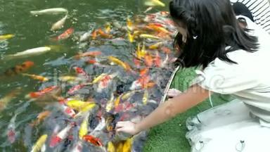 亚洲儿童在花园池塘里喂鱼。 孩子们用一种特殊的液体鱼类食物从婴儿瓶中喂鲤鱼锦鲤鱼。