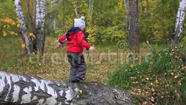 秋天公园的孩子玩得<strong>开心</strong>，笑得<strong>开心</strong>，在新鲜的空气中散步。 堕落的树。 一个美丽的风景胜地
