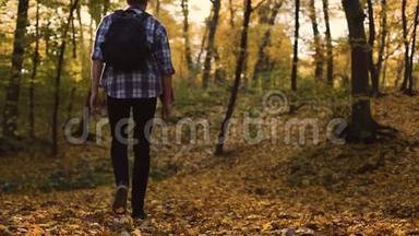 一个人走进秋天的落叶林，孤独地欣赏大自然