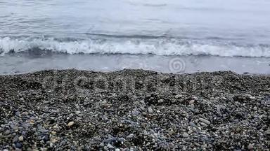 美丽的黑海，一只鸽子在海滩上经过。 暑期、度假、旅游概念