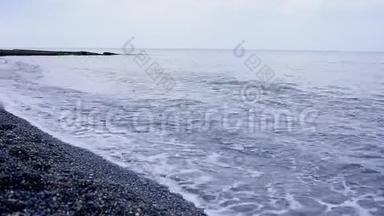 美丽的黑海，一只鸽子在海滩上经过。 暑期、度假、旅游概念