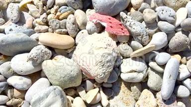 贝壳和岩石向动态绿松石海倾斜的特写镜头