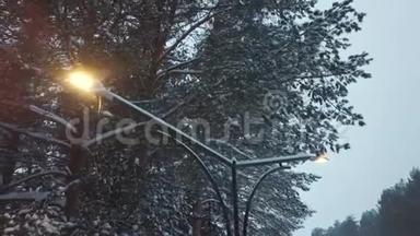 冬<strong>季</strong>公园积雪覆盖的树木附近的工作<strong>电器</strong>路灯的近景。 剪辑。 美丽的冬天