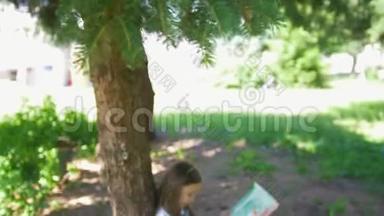阳光明媚的一天，小女孩<strong>坐在树下</strong>画画