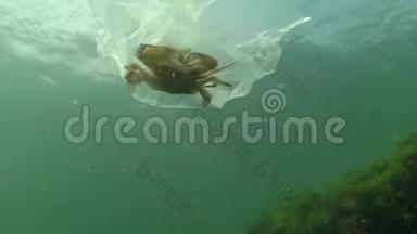 垃圾在水中，聚乙烯袋杀死海洋动物，螃蟹死亡。 自然生态，可塑..