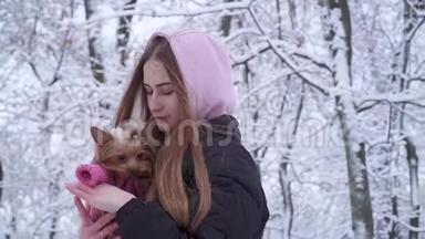 肖像可爱的年轻女孩，长发拥抱着一只穿着羊毛衫的约克郡猎犬，双手牵着狗。