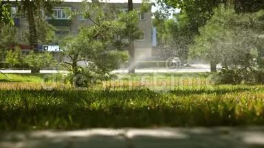 浇水系统在草坪上喷水.. 美丽的公园，花园在美丽的日出时浇水。 小滴滴滴