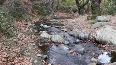 水在河流中流动。 溪穿岩叶林中，秋意概念..