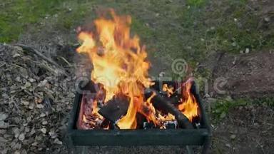 在后院烧烤，在明火、夏季烧烤、明火、烟雾和火焰上为烹饪做热煤
