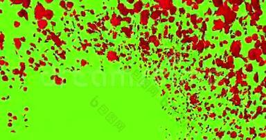 3d动画红色玫瑰花瓣在彩色键上带漩涡飞行，绿色屏幕背景