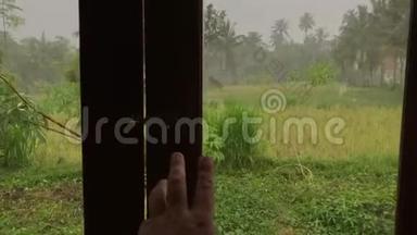 男人的手打开窗户，带着令人惊叹的热带绿色背景和清新的雨。 巴厘岛。