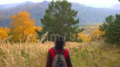 阳光明媚的秋日，女游客在秋天的森林里散步。 徒步旅行者的女人，背着背包在山上徒步旅行