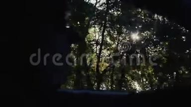 春林景观，从侧窗一车边开车.. 大自然的<strong>慢镜头视频</strong>