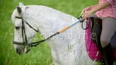 夏夜<strong>骑着马</strong>在草地上疾驰的年轻女子