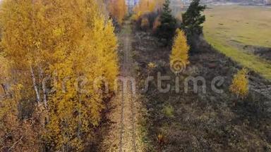 飞过穿过森林的铁路.. 秋天。 空中观景。 摄像机`着陆了。 4K